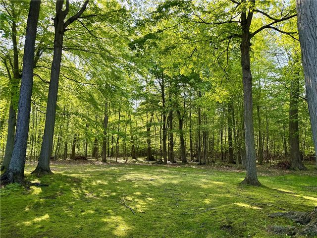 1391 Brookedge Drive, Hamlin, NY 14464