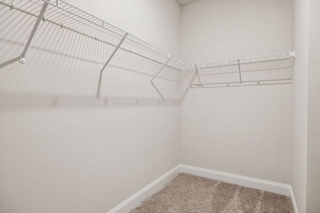 120 Holly Ridge, Antioch, TN 37013