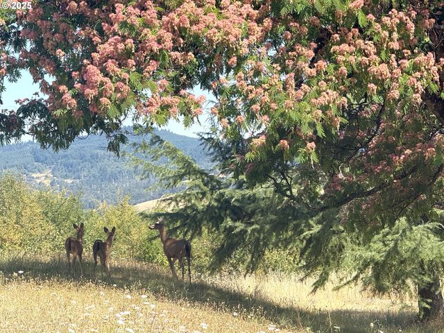 336 SCHUDEISKE Rd, Sutherlin, OR 97479