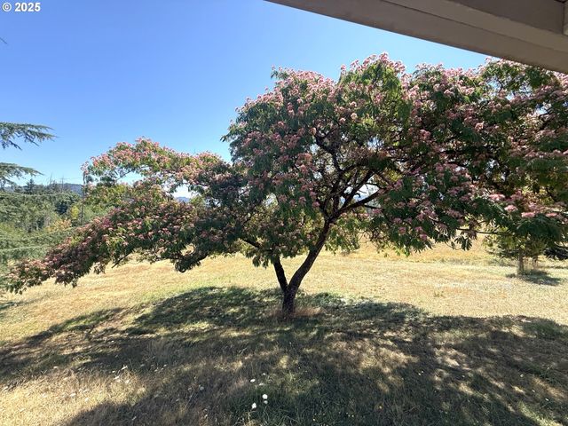 336 SCHUDEISKE Rd, Sutherlin, OR 97479