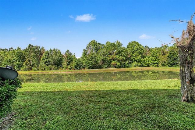 26838 JUNIPER BAY DRIVE, Wesley Chapel, FL 33544