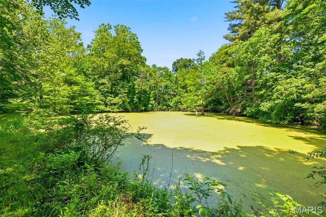 613 Jacobs Station Road, Unincorporated, MO 63304