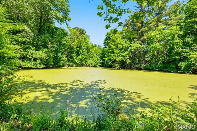 613 Jacobs Station Road, Unincorporated, MO 63304