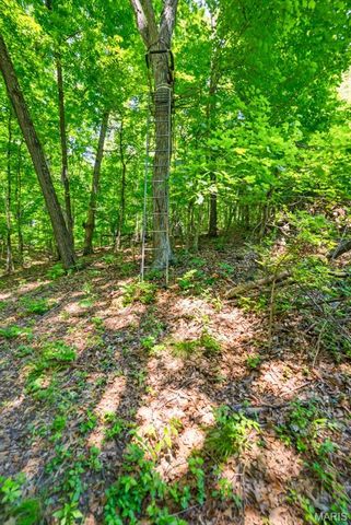 613 Jacobs Station Road, Unincorporated, MO 63304