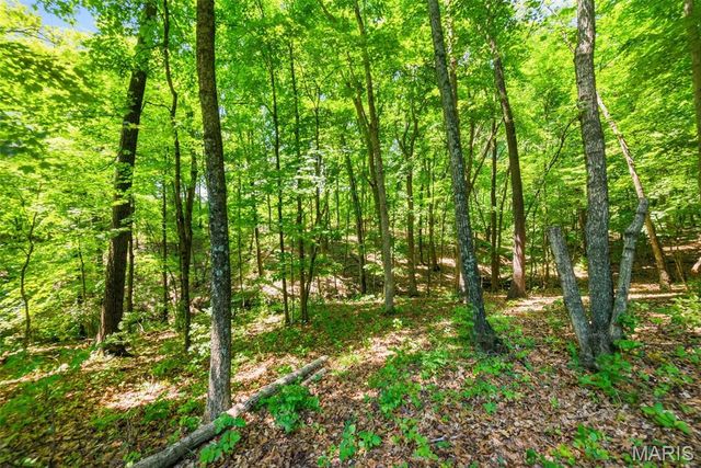 613 Jacobs Station Road, Unincorporated, MO 63304