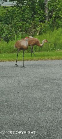 4822 N Feldspar Circle, Wasilla, AK 99654