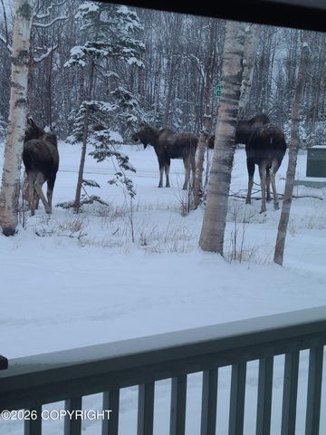 4822 N Feldspar Circle, Wasilla, AK 99654