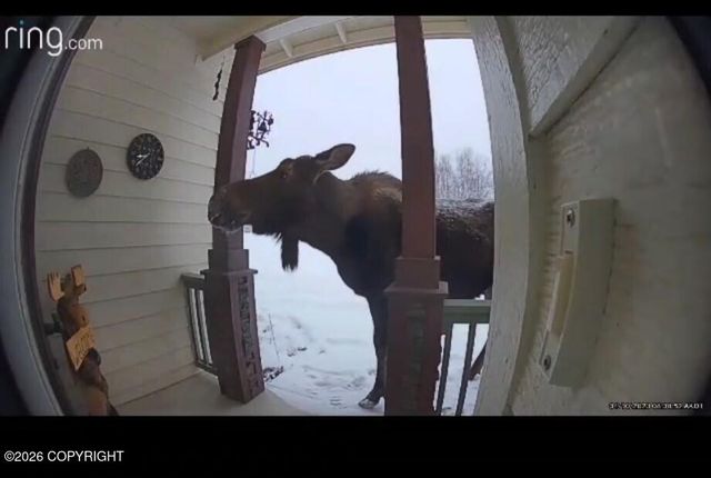 4822 N Feldspar Circle, Wasilla, AK 99654