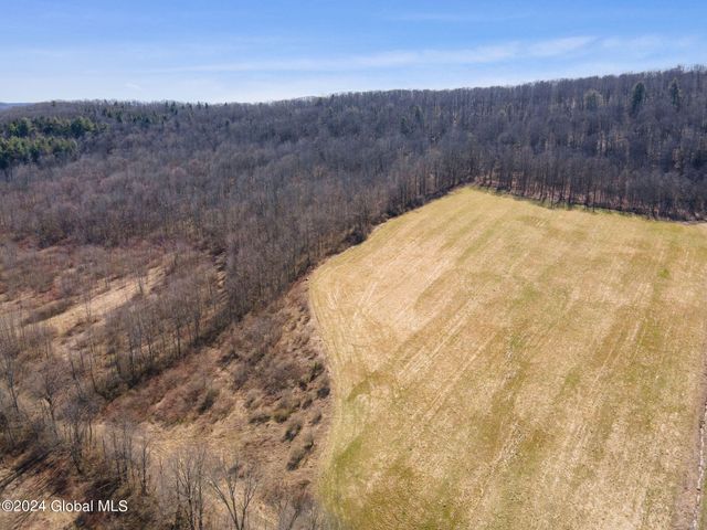 L5 Patrick Road, Richmondville, NY 12043