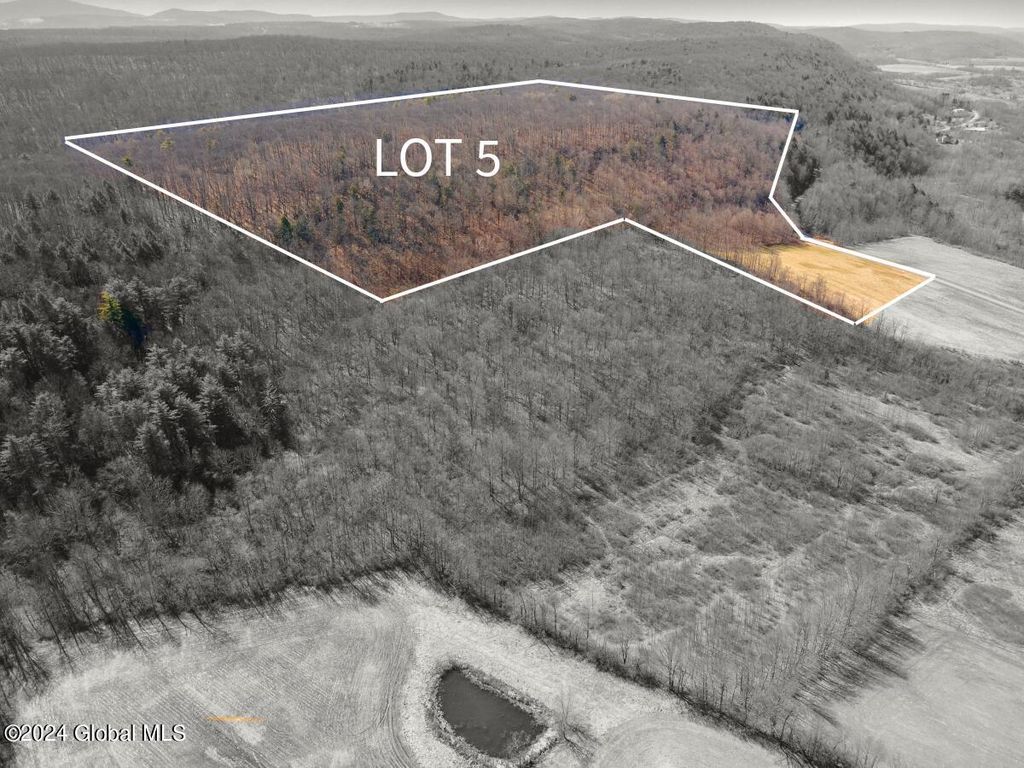 L5 Patrick Road, Richmondville, NY 12043