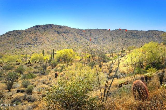 14317 E Mourning Dove Drive, Fountain Hills, AZ 85268