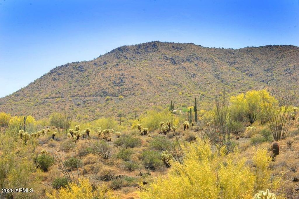 14317 E Mourning Dove Drive, Fountain Hills, AZ 85268 — photo 4