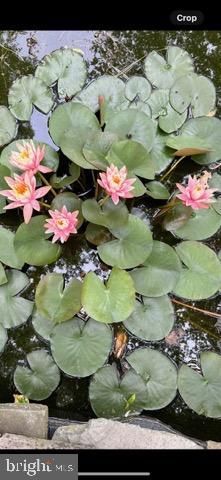 3547 PRCHAL RD, Preston, MD 21655