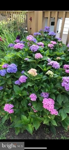 3547 PRCHAL RD, Preston, MD 21655