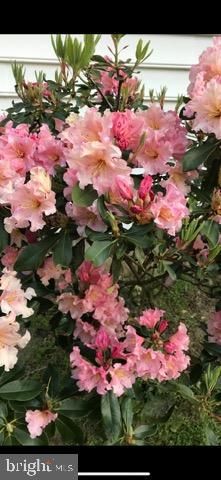 3547 PRCHAL RD, Preston, MD 21655