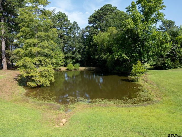 1668 FM 2685, Gladewater, TX 75647