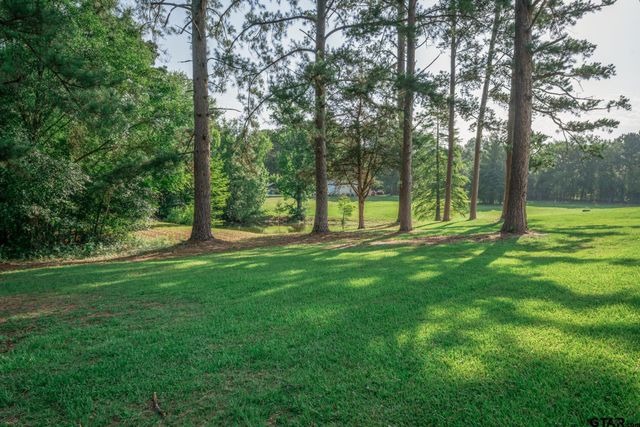 1668 FM 2685, Gladewater, TX 75647