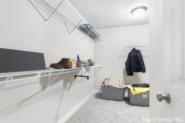 14579 Tupelo Drive, West Olive, MI 49460