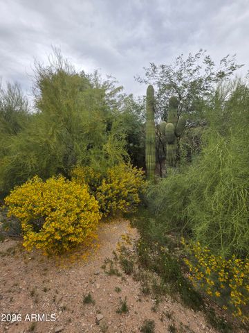 10425 N 10TH Place 1, Phoenix, AZ 85020