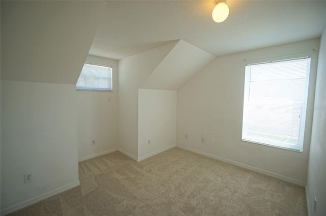 24606 VICTORIA WOOD COURT, Lutz, FL 33559