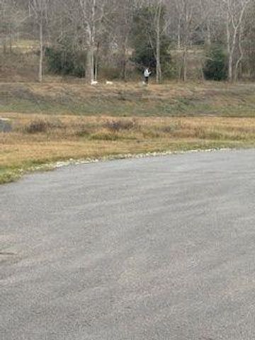 0 Hidden Trail, Chappell Hill, TX 77426