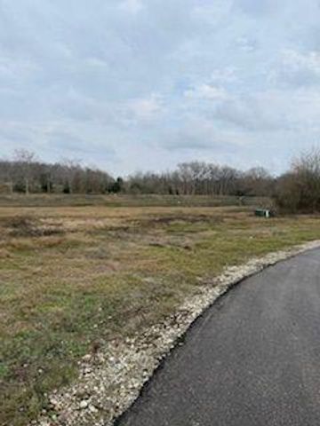 0 Hidden Trail, Chappell Hill, TX 77426