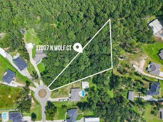 17007 N Wolf Court, Splendora, TX 77372