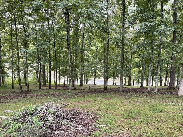 0 Cove Ln, Lawrenceburg, TN 38464