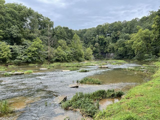 0 Cove Ln, Lawrenceburg, TN 38464
