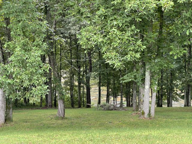 0 Cove Ln, Lawrenceburg, TN 38464