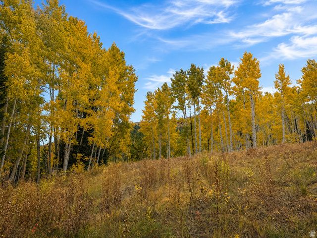 12490 E OLD STAGE RD, Brighton, UT 84121