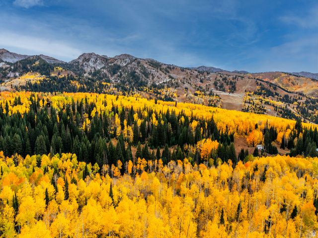 12490 E OLD STAGE RD, Brighton, UT 84121