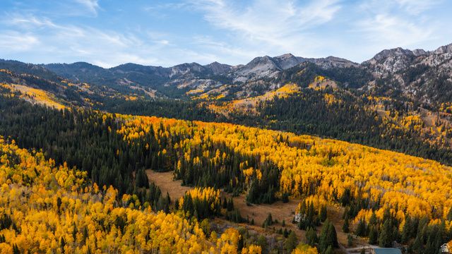 12490 E OLD STAGE RD, Brighton, UT 84121
