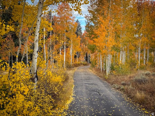 12490 E OLD STAGE RD, Brighton, UT 84121