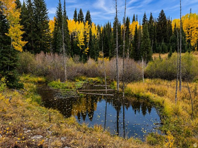 12490 E OLD STAGE RD, Brighton, UT 84121