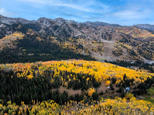 12490 E OLD STAGE RD, Brighton, UT 84121