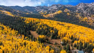 12490 E OLD STAGE RD, Brighton, UT 84121