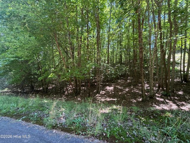 51 Pine Cove Lane, Murphy, NC 28906