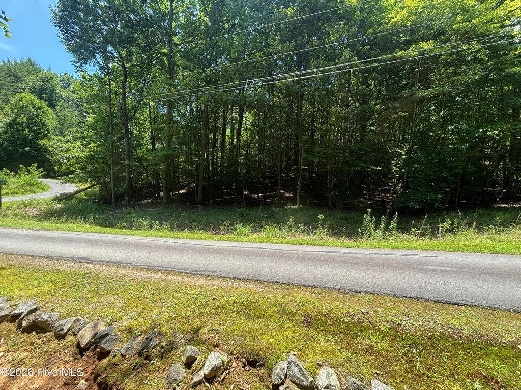 51 Pine Cove Lane, Murphy, NC 28906