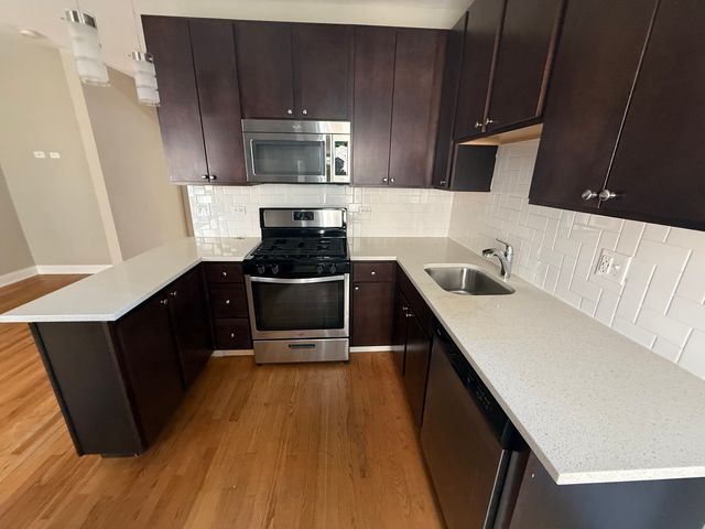 838 E 53rd Street 2W, Chicago, IL 60615