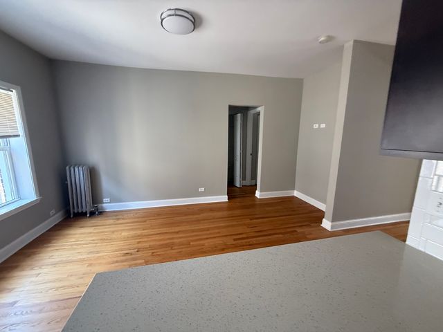 838 E 53rd Street 2W, Chicago, IL 60615
