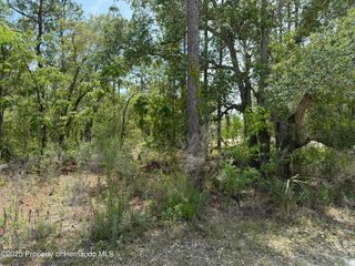00 Snow Goose Avenue, Weeki Wachee, FL 34614