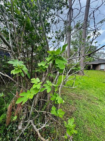 24231 Shellbrook Drive, Houston, TX 77336