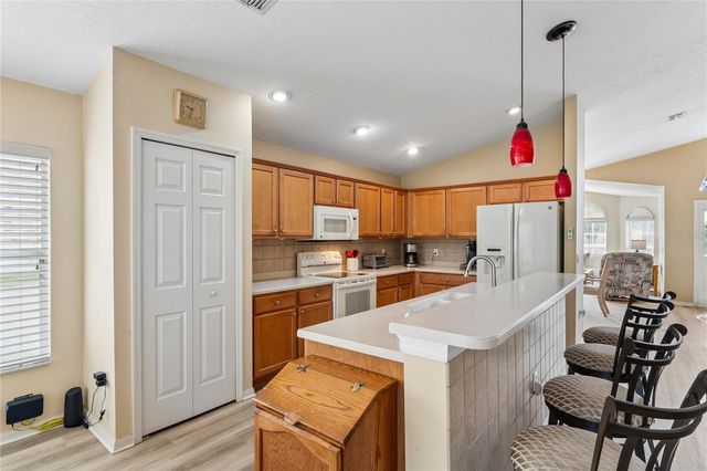 363 QUANE AVENUE, Spring Hill, FL 34609