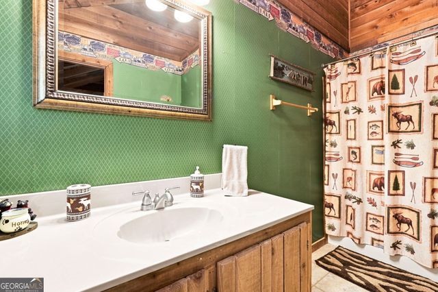 219 Nantahala Drive, Blue Ridge, GA 30513