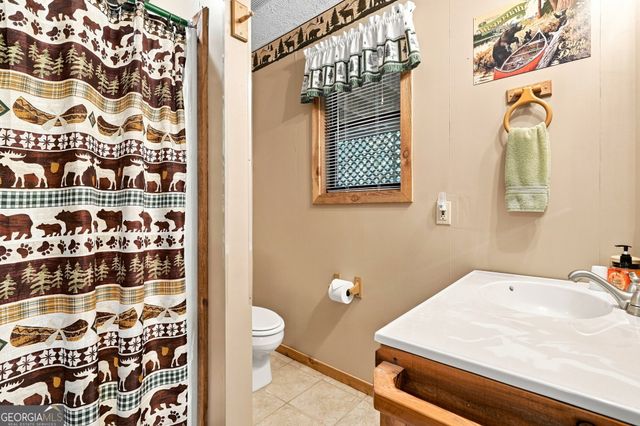 219 Nantahala Drive, Blue Ridge, GA 30513