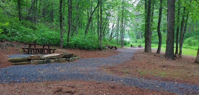 64 Hilton Drive, Ellijay, GA 30540