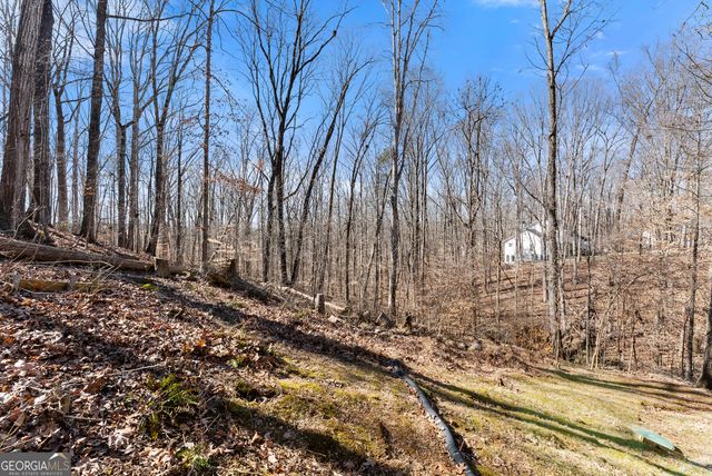 5082 Peach Mountain Circle, Gainesville, GA 30507