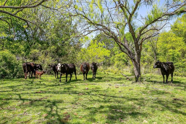 2296 County Road 2545, Meridian, TX 76665