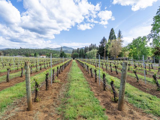 2871 Griffin Creek Road, Medford, OR 97501